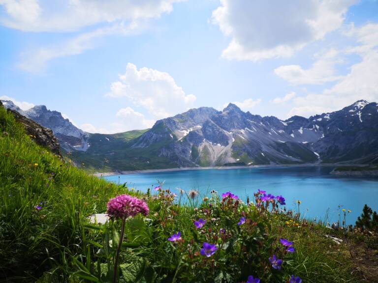 Blumenvielfalt am Lünersee