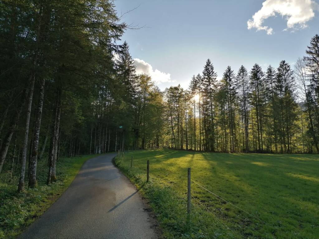 Barrierefrei | Mellau – Am Fuße der Kanisfluh