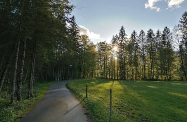 Barrierefrei | Mellau – Am Fuße der Kanisfluh