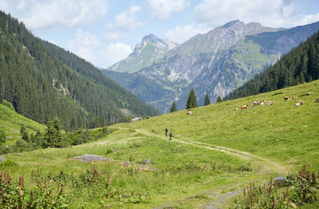 Ins Nenzigasttal | Klösterle am Arlberg