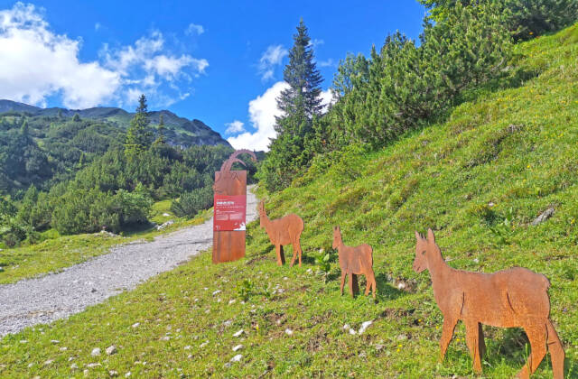 „Stebok Wäg“ von Dalaas zum Formarinsee/Freiburger Hütte | Dalaas