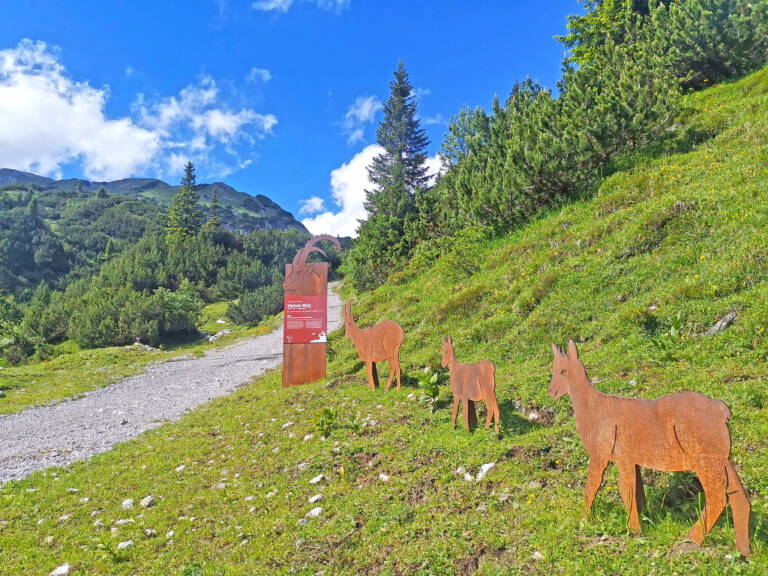 „Stebok Wäg“ von Dalaas zum Formarinsee/Freiburger Hütte | Dalaas