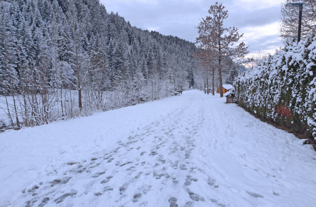 Alfenzweg | Klösterle am Arlberg