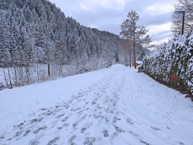 Alfenzweg | Klösterle am Arlberg