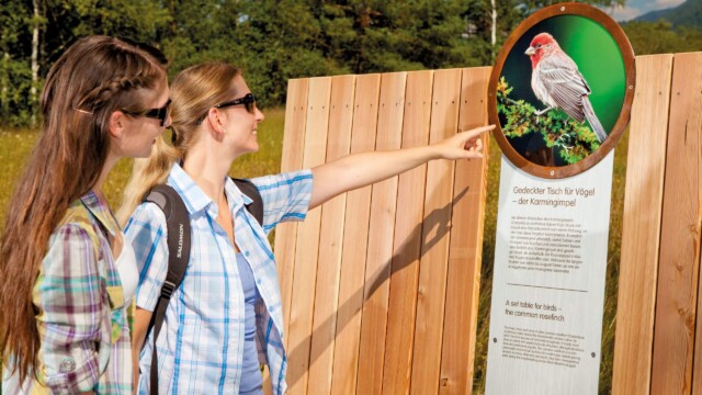 Wandern am Wolfgangsee Wandern am Wolfgangsee